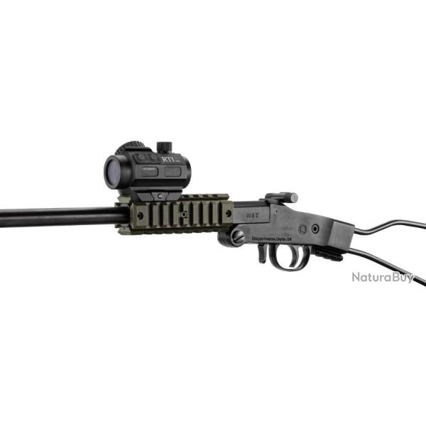 Pack carabine pliante Chiappa Little Badger 22 LR OD