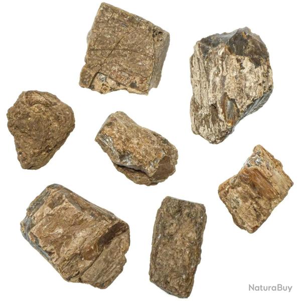 Pierres brutes ambre d'indon�sie - 3 � 8 cm - Lot de 3