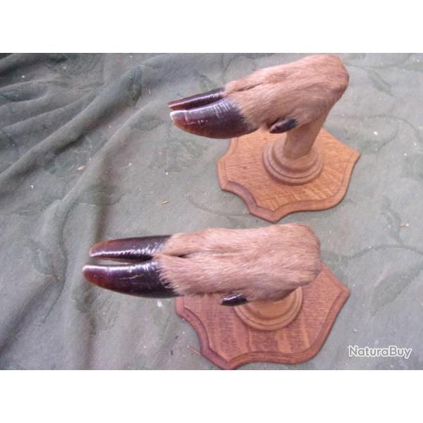 porte-fusil une arme