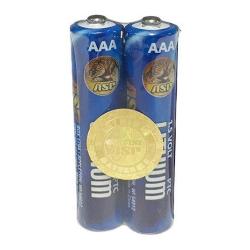 Lot de 2 piles Lithium AAA ASP