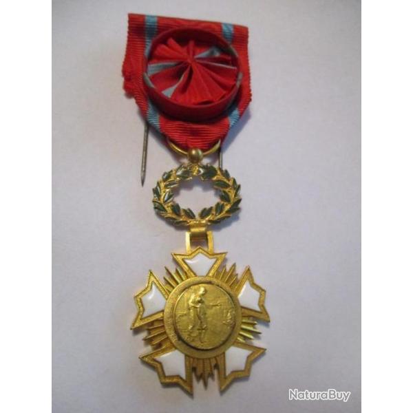 m�daille avec rosette Acad�mie d'Int�r�t Public