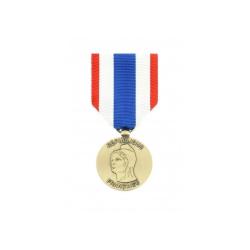 M&eacute;daille Protection militaire du Territoire