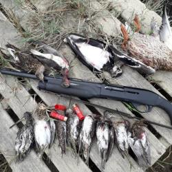 Fusil semi auto Benelli M2 Gaucher Cal.12MAG canon de 71cm