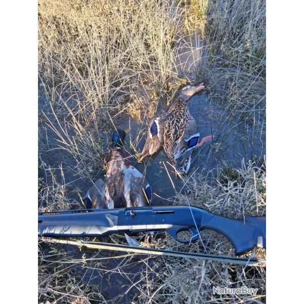 Benelli M2 comfortech Gaucher Cal.12MAG canon de 71cm, 5 chokes crio