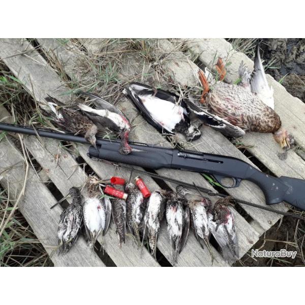 Benelli M2 comfortech Gaucher Cal.12MAG canon de 71cm, 5 chokes crio