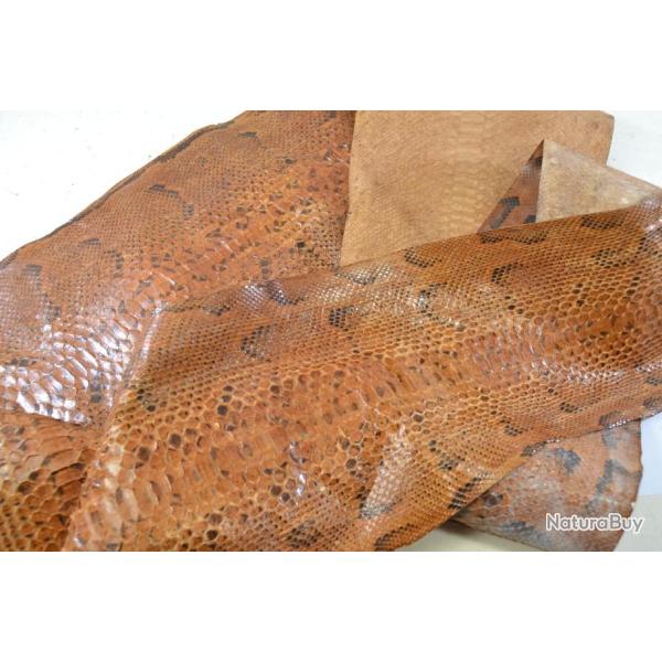 Peau de serpent ancienne cuir reptil