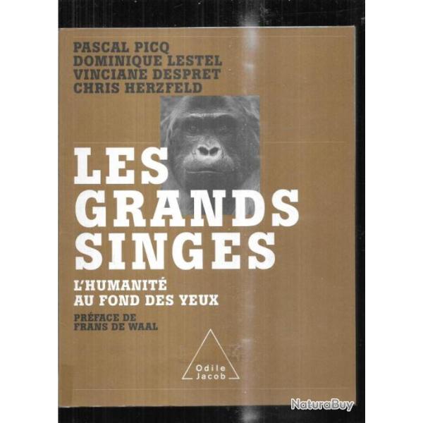 les grands singes l'humanit� au fond des yeux de pascal picq , dominique lestel , chris herzfeld