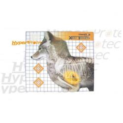 6 cibles Coyote en Rayon X - 47x42 cm