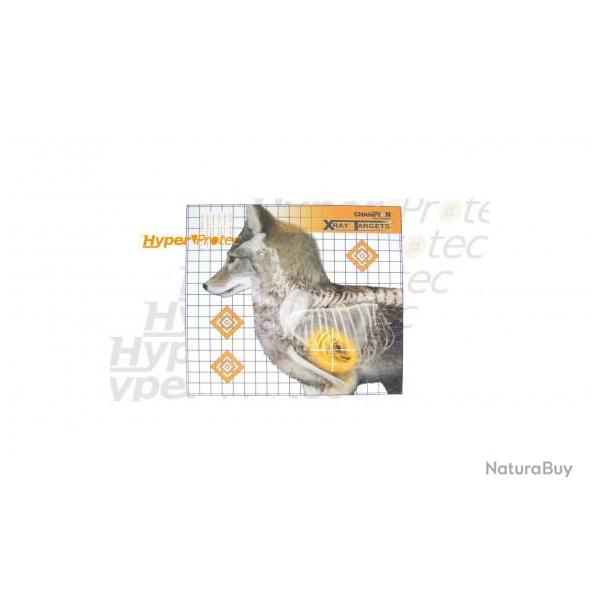 6 cibles Coyote en Rayon X - 47x42 cm