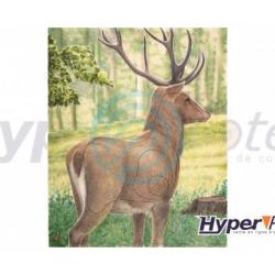 Blason d'Archerie Poster couleur Cerf 95 x118 cm