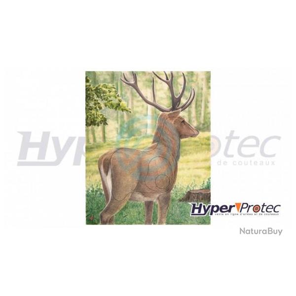 Blason d'Archerie Poster couleur Cerf 95 x118 cm