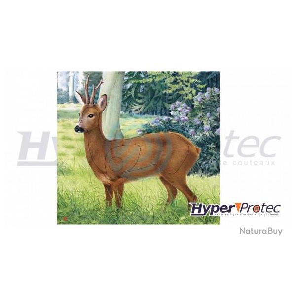 Blason d'Archerie Poster Cerf couleur de 78x79 cm