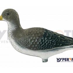 Appelant Chevalier Combattant