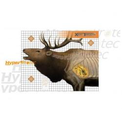 6 cibles Wapiti en Rayon X - 91x71 cm entra&icirc;nement chasseur