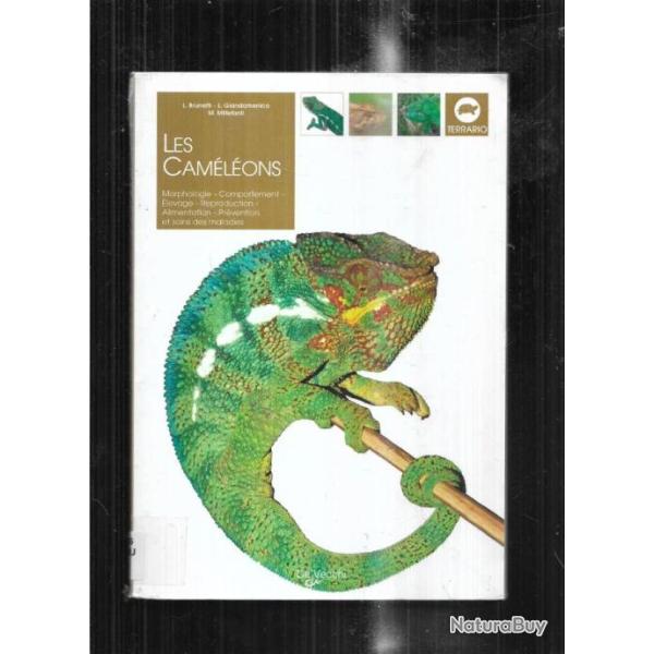 les cam�l�ons de l. brunetti nac morphologie, alimentation, pr�vention , soins et maladies