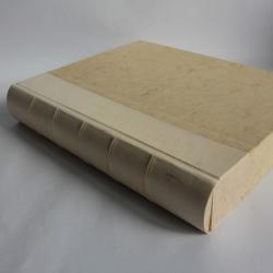 Livre Par dessus la treille Chroniques Genevoises Buenzod Degal