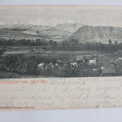 CPA Suisse Berneralpen von Bern aus Galber Interlaken