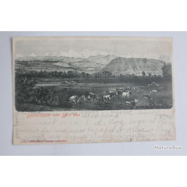 CPA Suisse Berneralpen von Bern aus Galber Interlaken