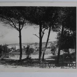 CPA Isra&euml;l Haifa On Mt Carmel