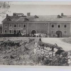 CPA Suisse Hôtel du Marchairuz Vaches