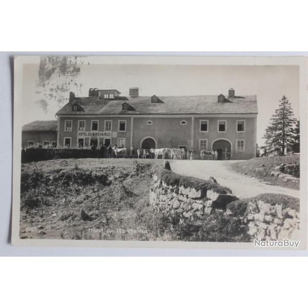 CPA Suisse H�tel du Marchairuz Vaches