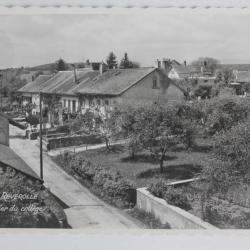 CPSM Suisse Reverolle Quartier du Collège