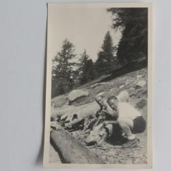 CPA Suisse Élevage de cochons