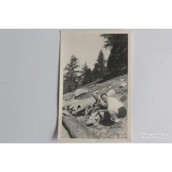 CPA Suisse �levage de cochons