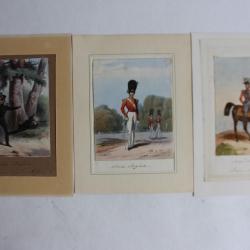 Gravures rehaussées Armée anglaise Prince Albert militaria