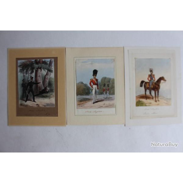 Gravures rehausses Arme anglaise Prince Albert militaria