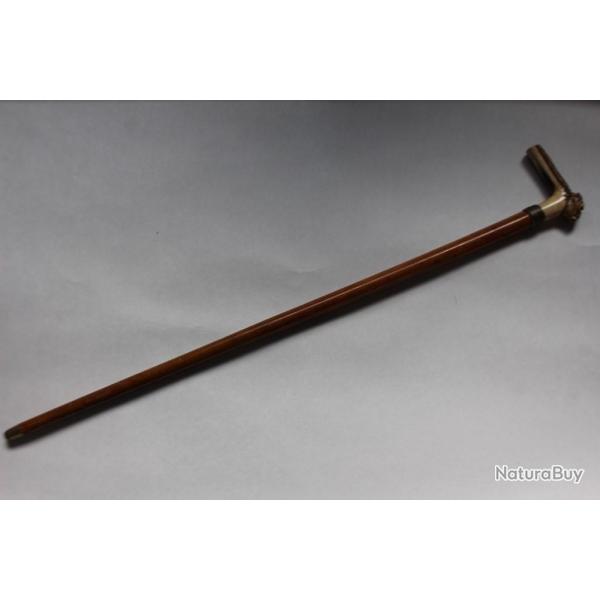 Ancienne canne bois de cerf chien bouledogue