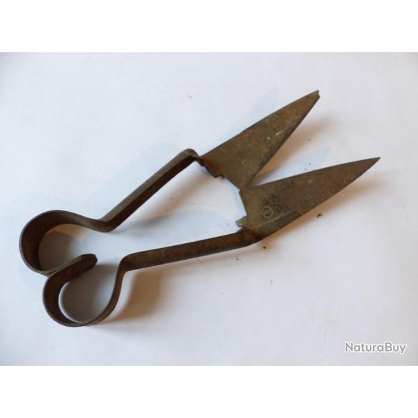 Forces anciennes ciseaux outils