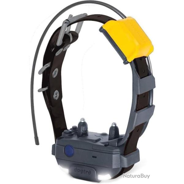 PROMO Collier pour Dogtra Pathfinder 2  localisation + dressage