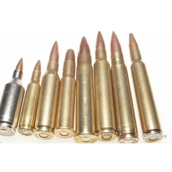 Collection de 8 cartouches de plusieurs calibres diffrents port gratuit