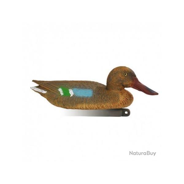 APPELANT  SOUCHET FEMELLE