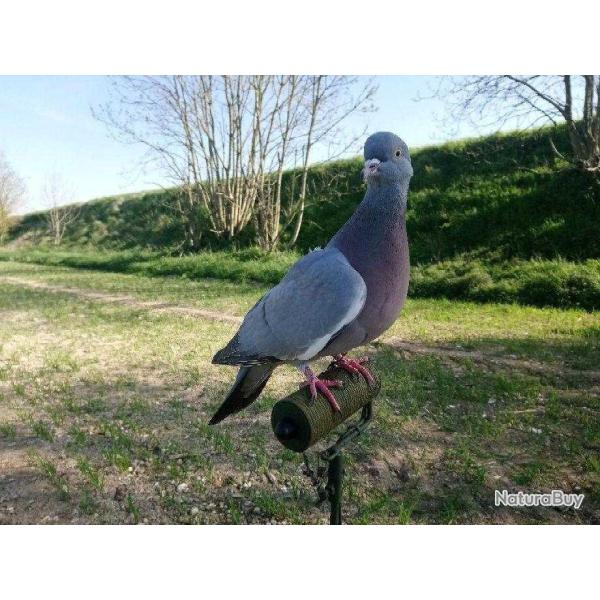 Rouleau �lectrique de sol ou pour m�t