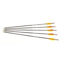 5 fl&egrave;ches 26" pour tous types d'arcs fibre de verre HQ 68cm
