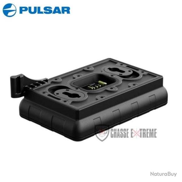 Chargeur de Batterie PULSAR IPS