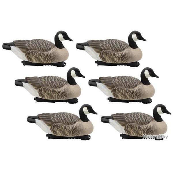 Formes d'oie bernache flottante Final Approach x6
