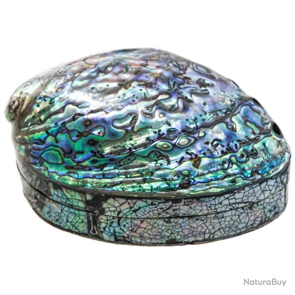 Boite � bijoux avec coquillage haliotis abalone paua