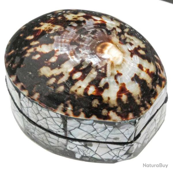 Boite � bijoux avec coquillage cellana et plaquage abalone paua