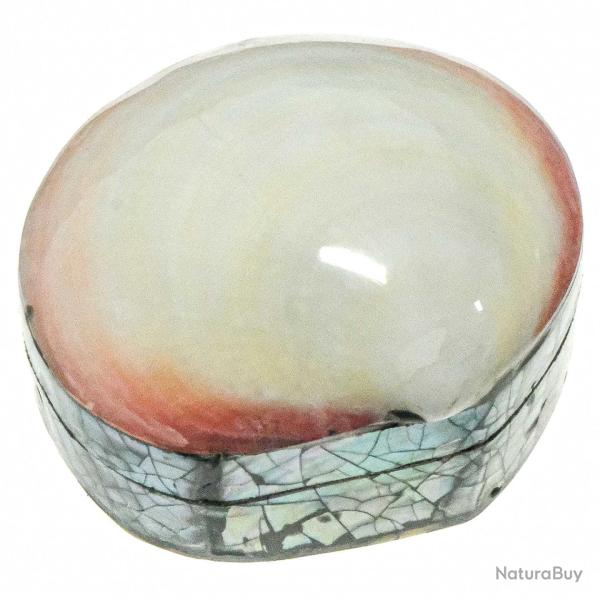 Boite � bijoux avec coquillage codakia et plaquage abalone paua