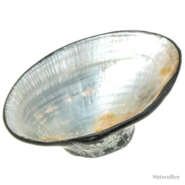 Petit r�cipient avec coquillage moule nacr�e et plaquage nacre abalone paua
