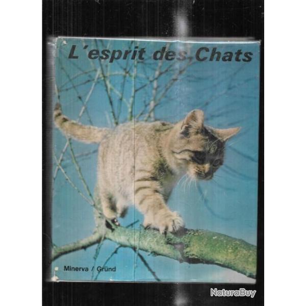 l'esprit des chats de brehm et buffon