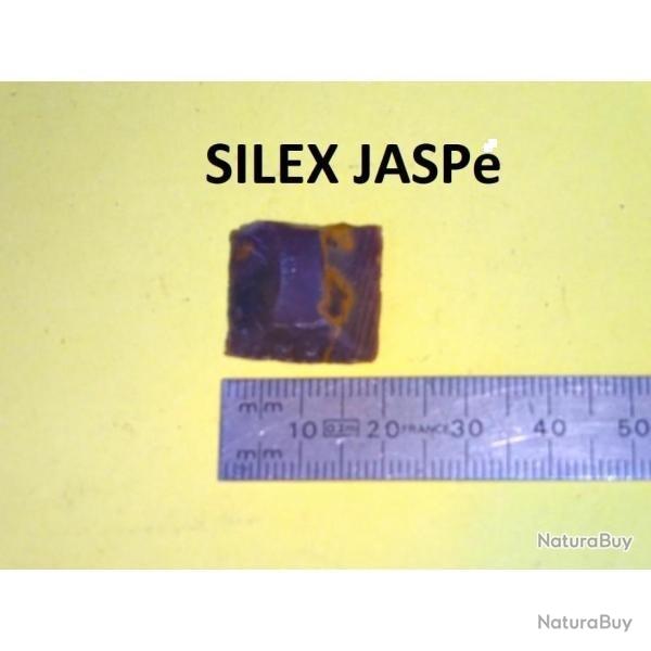 silex de Fond Mort en JASPE - VENDU PAR JEPERCUTE (D22E95)