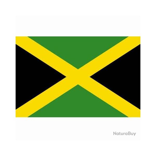 Drapeau Jamaique (101 inc)