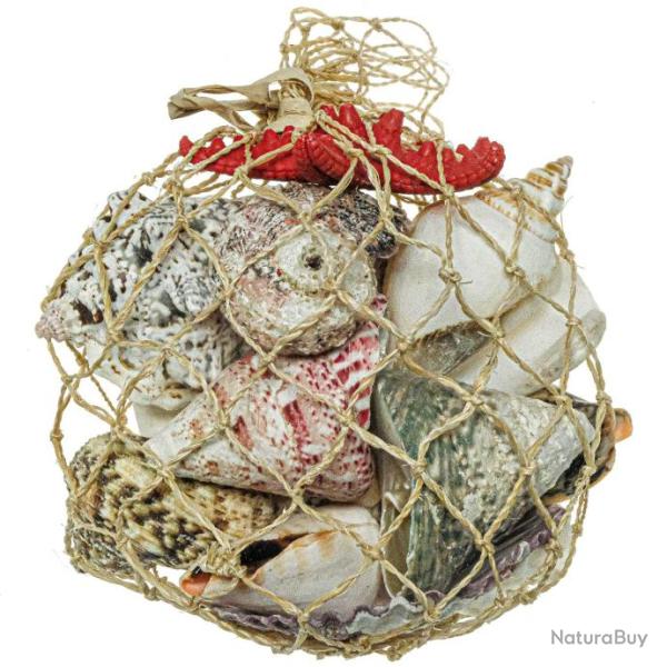 Petit filet de coquillages divers et �toile de mer