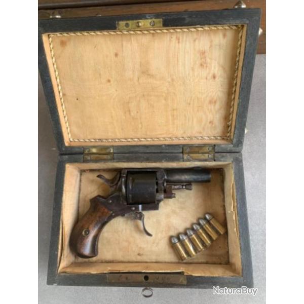 Bulldog 320 dans sa bo�te.