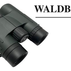 Jumelles Waldberg 10 x 42 ED