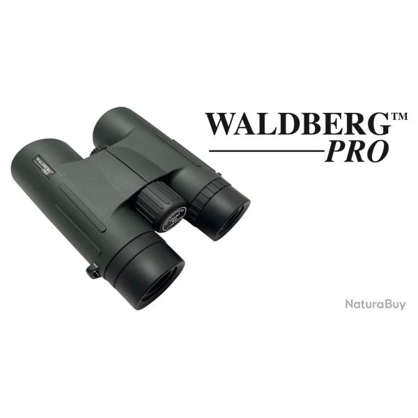 Jumelles Waldberg 10 x 42 ED